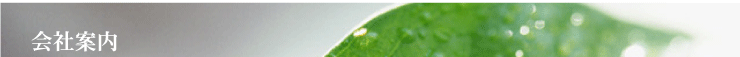 Јē
